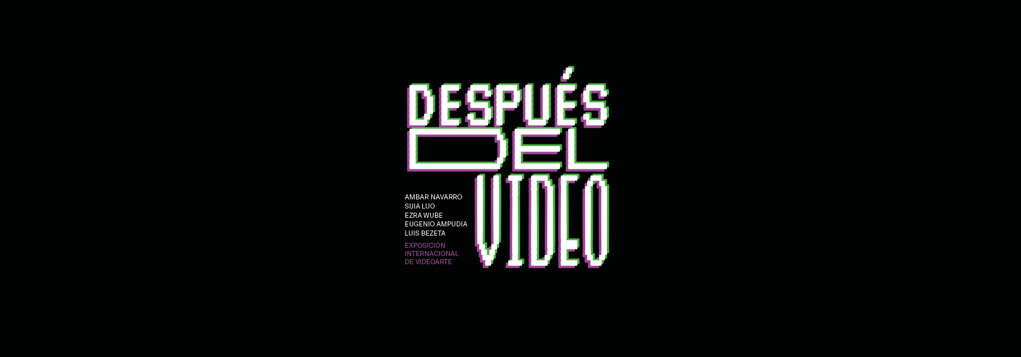 EXPOSICIÓN «DESPUÉS DEL VIDEO»